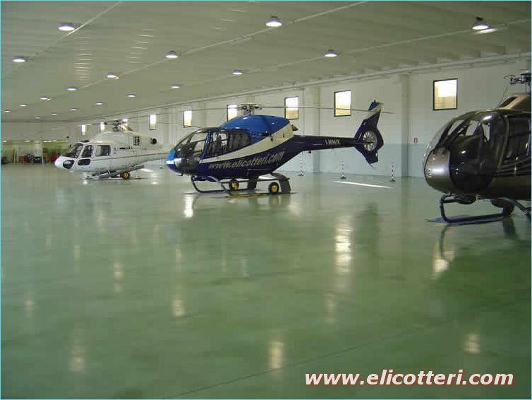 elifoto (74)